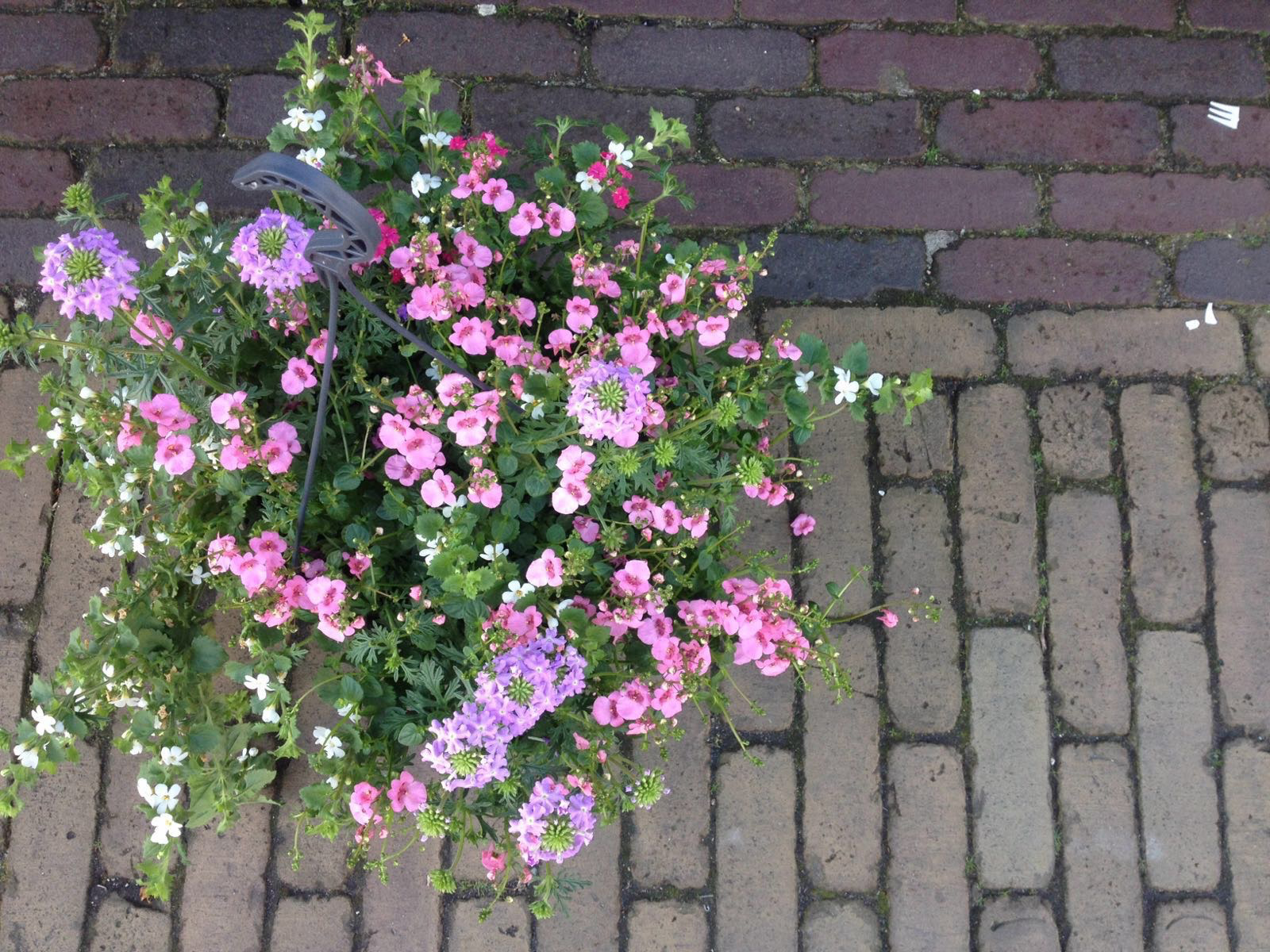 Alle ingrediënten om moeder te verwennen